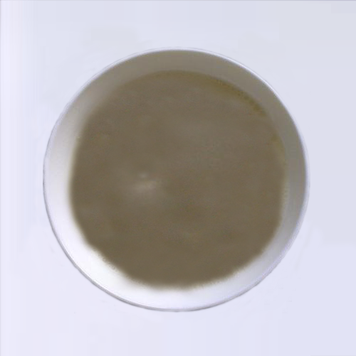 掌握好這5點，包子不發硬不塌陷！